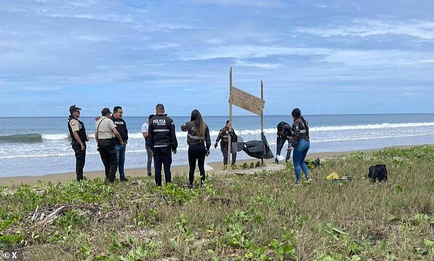 Five human heÃ—ds found hxnging on Ecuador beachÂ  (photos)
