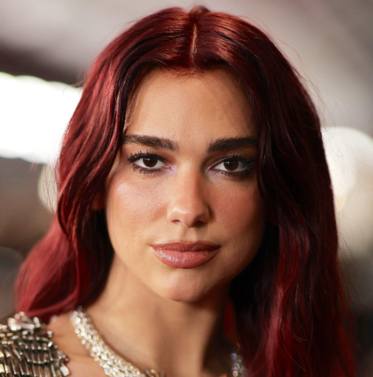 Singer, Dua Lipa ends ties with her manager David Levy over his support for Israel
