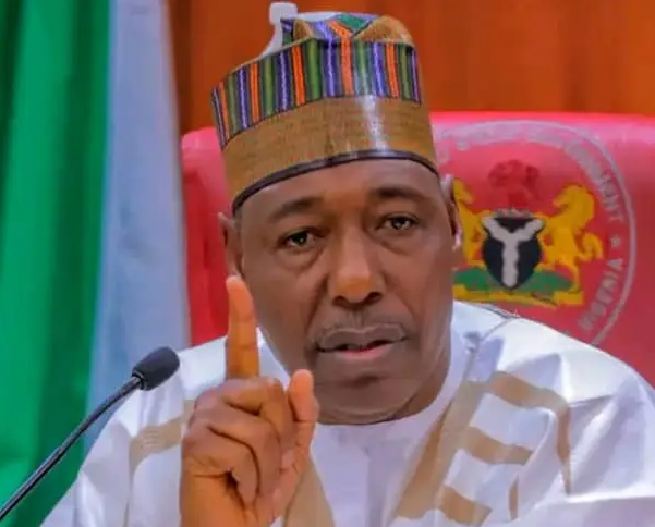 Borno spent N100bn on security this year â Gov. Zulum