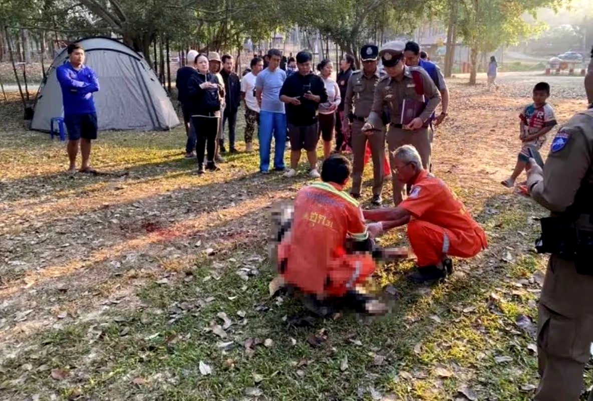 Tourist k!lled by same elephant that previously k!lled two people at Thailand national park