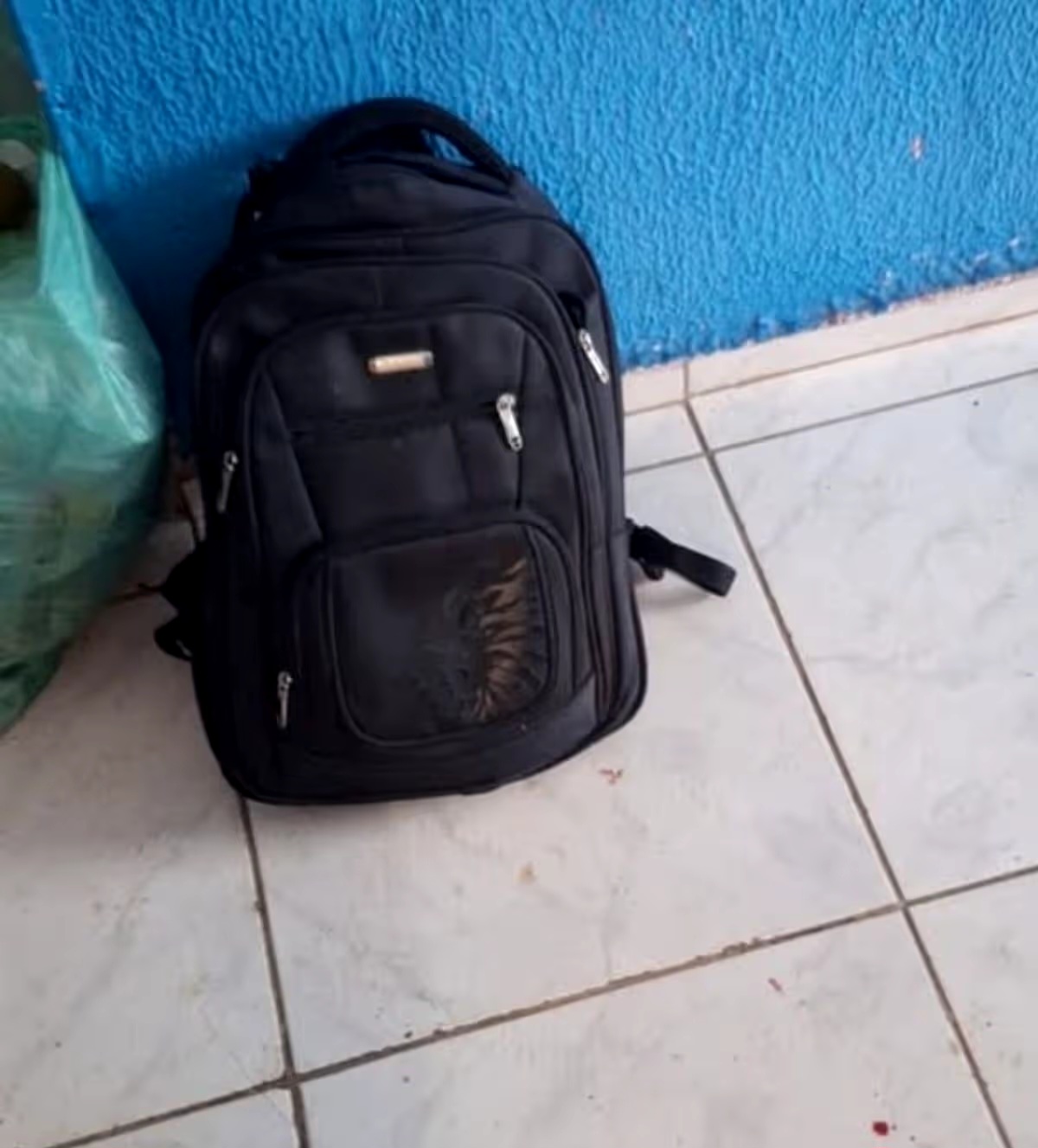 Woman arrested after she 'behÂ£aded new boyfriend and shoved his head in rucksack' over baby nappy abuse fear