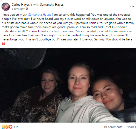 Mum, 27, hit and killed by descending plane as she was mowing lawn