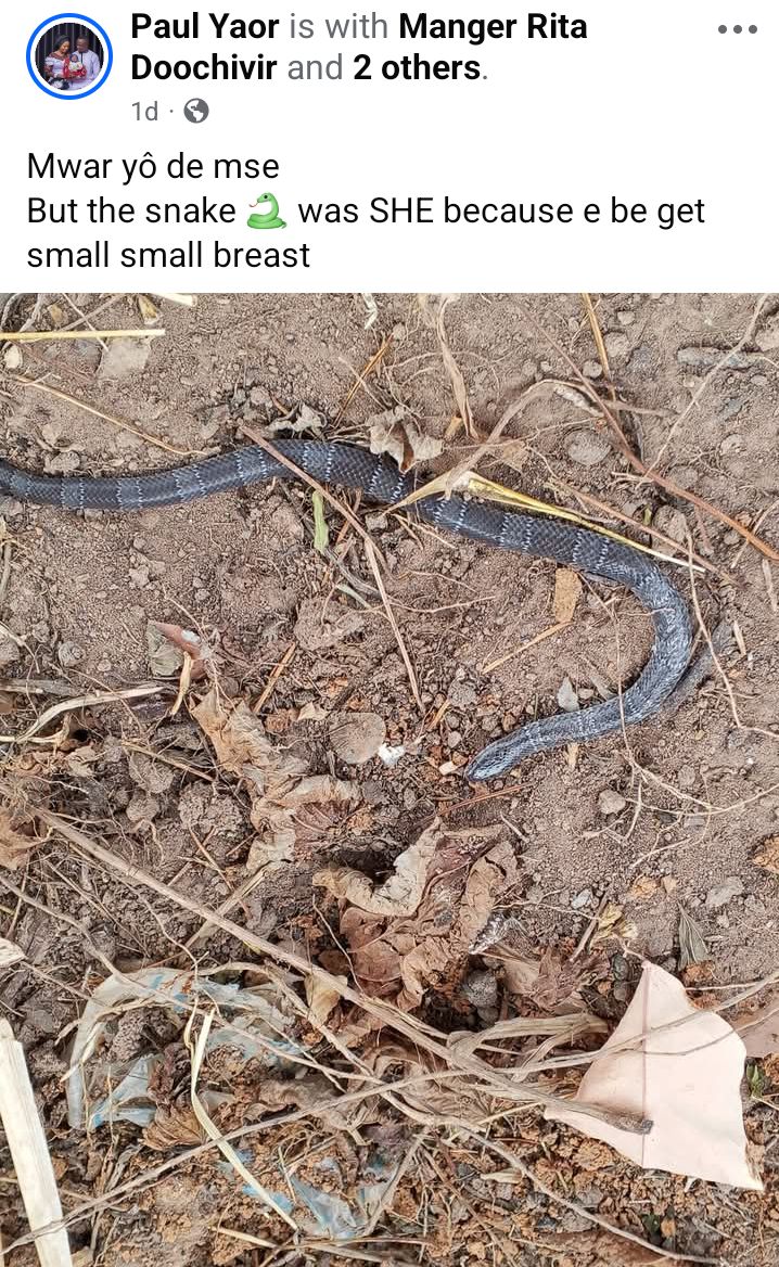 The devil is a liar - Nigerian man celebrates as he narrowly escapes snake bite on his farm