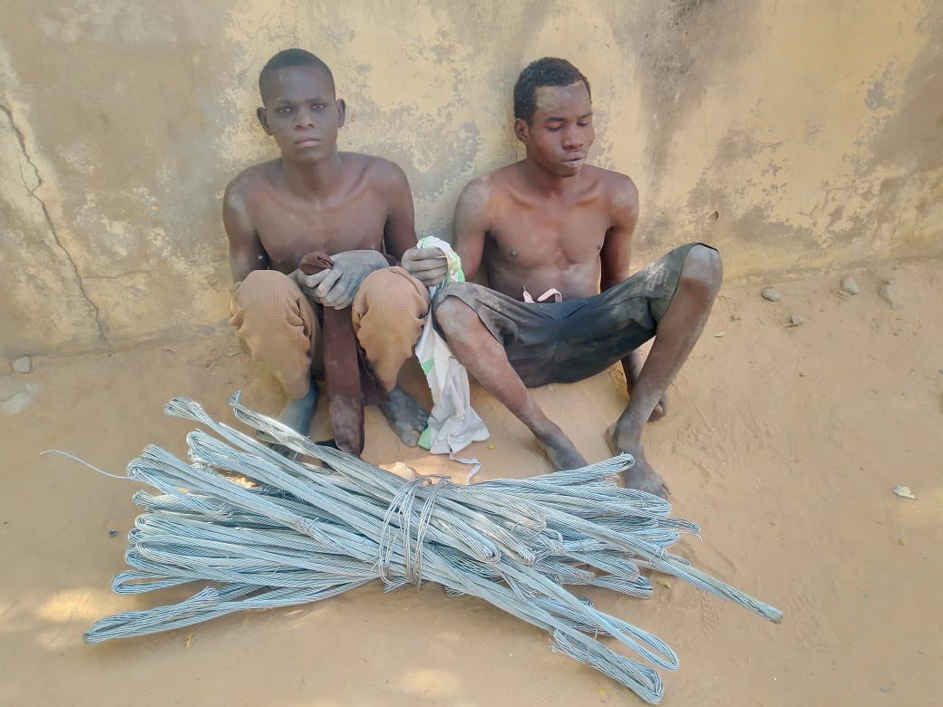 Troops arrest two suspected Boko Haram informants in Borno