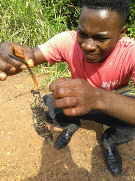 Pastor shares photos of the fetish items and name he found after God led him to a bush in Anambra state (photos)