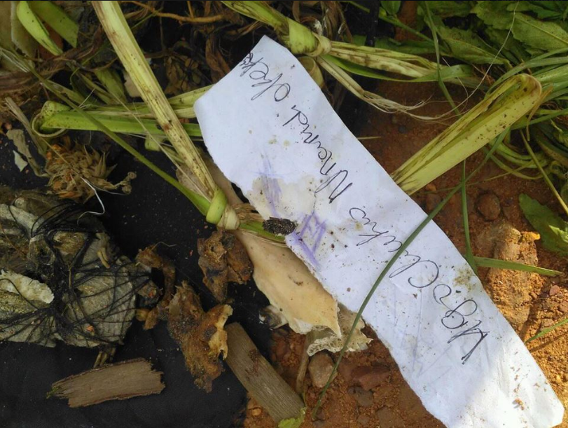 Pastor shares photos of the fetish items and name he found after God led him to a bush in Anambra state (photos)