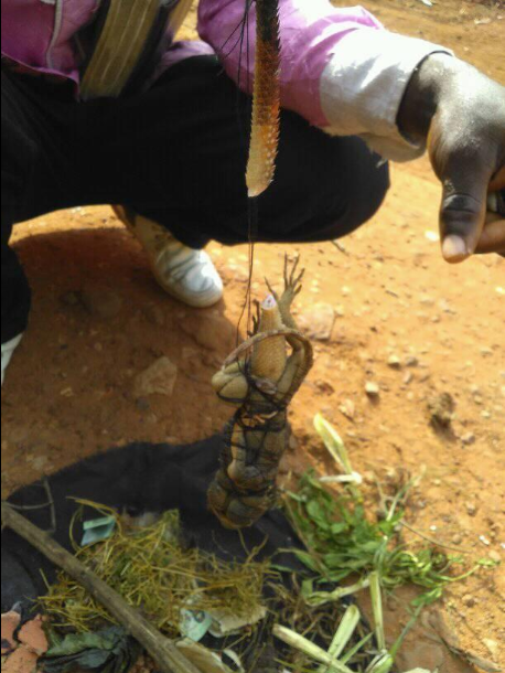 Pastor shares photos of the fetish items and name he found after God led him to a bush in Anambra state (photos)