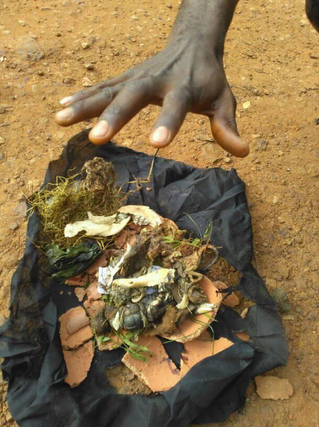 Pastor shares photos of the fetish items and name he found after God led him to a bush in Anambra state (photos)