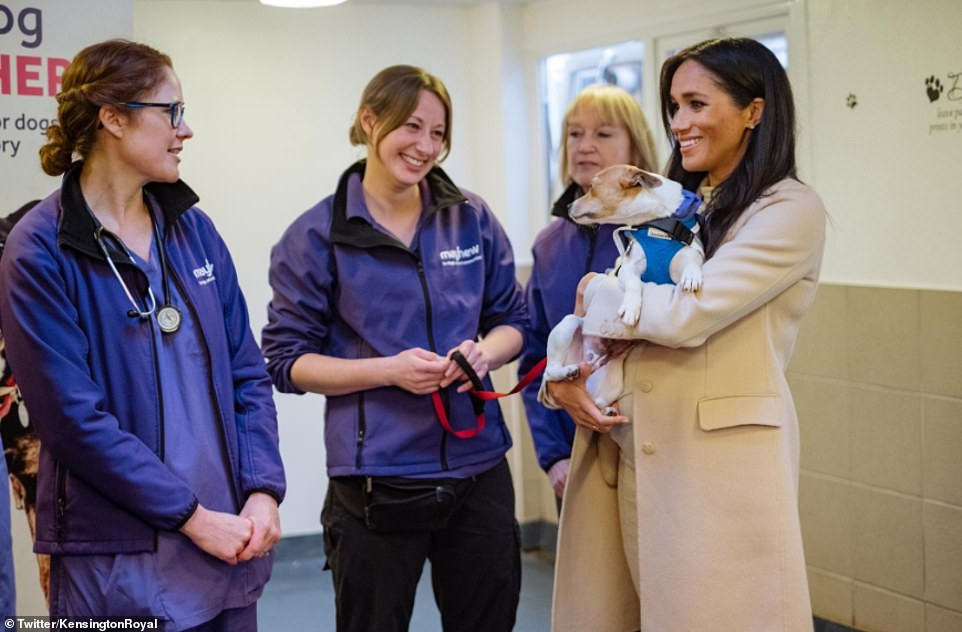 Meghan Markle opts for head-to-toe cream as she visits a London animal charity she is now supporting as patron
