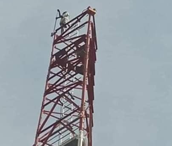 Kebbi man climbs a mast, vows not to come down until President Buhari resigns (photos)