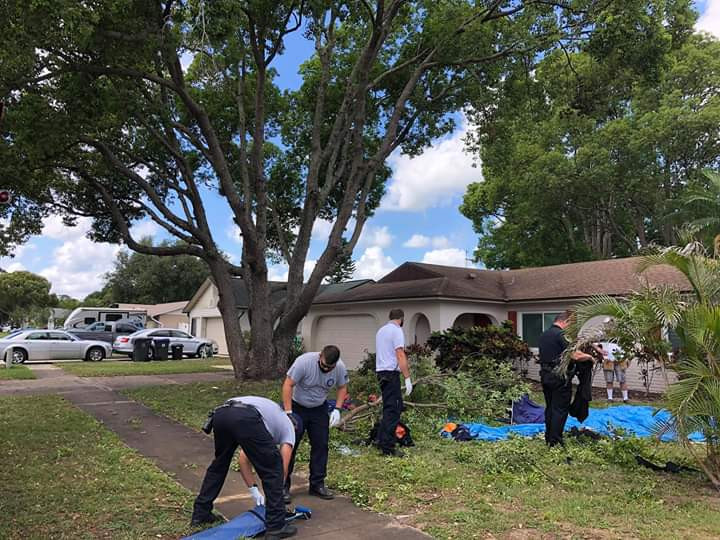 Two skydivers fall from the sky after their parachutes got entangled mid-air (Video)