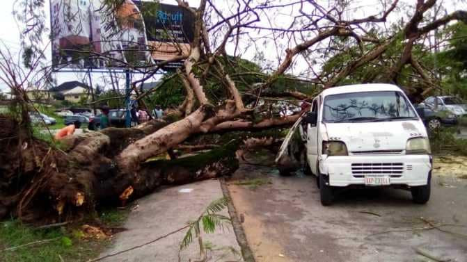 Eight escapes death as huge tree falls on commercial bus in Calabar