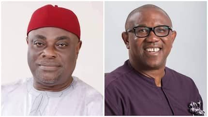 Peter Obi can?t achieve anything politically unless he returns to our party - APGA national chairman