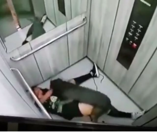 Woman mauled by her own pit bull in elevator