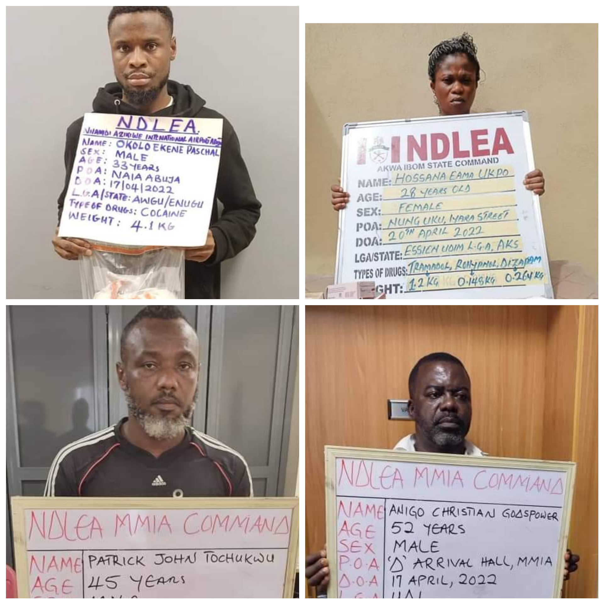 NDLEA seizes cocaine concealed in teabags, arrests 4 traffickers at ...