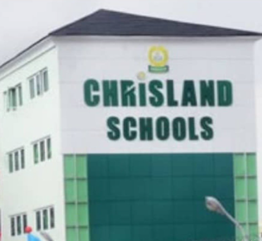 10-year-old Chrisland student deletes videos on her social media account and apologises