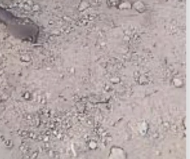 Police neutralise suspected kidnapper in Nasarawa