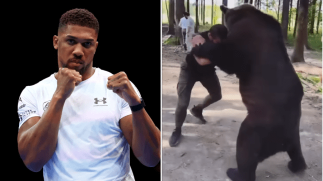 Anthony Joshua agrees to fight Russian who wrestles bears in comeback bout