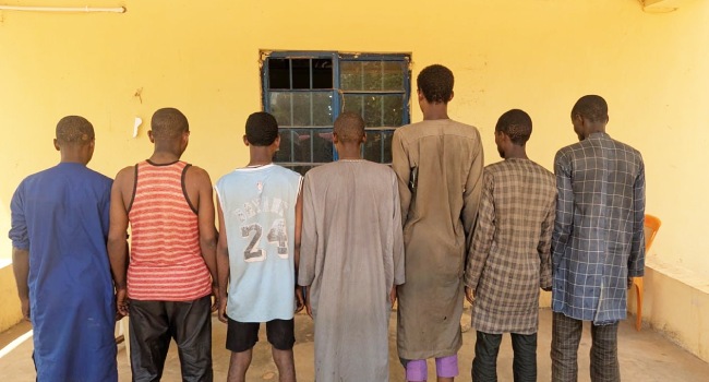 Seven suspected bandits apprehended in Kebbi