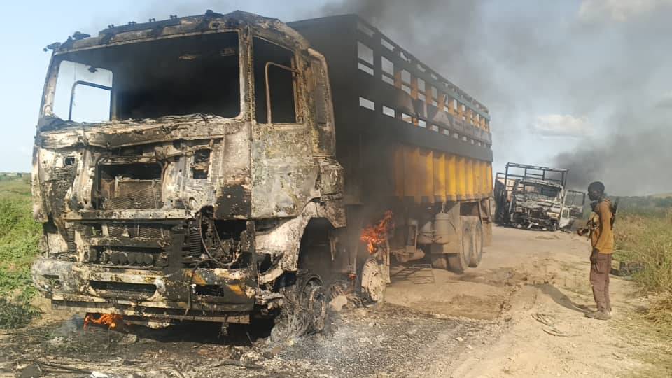 Boko Haram terrorists k!ll three, set palace, houses and vehicles ablaze in Borno