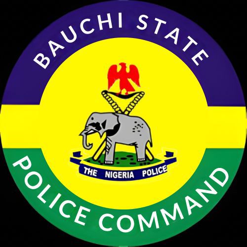Police bust two-man homos3xual syndicate, rescue 2 minors in Bauchi