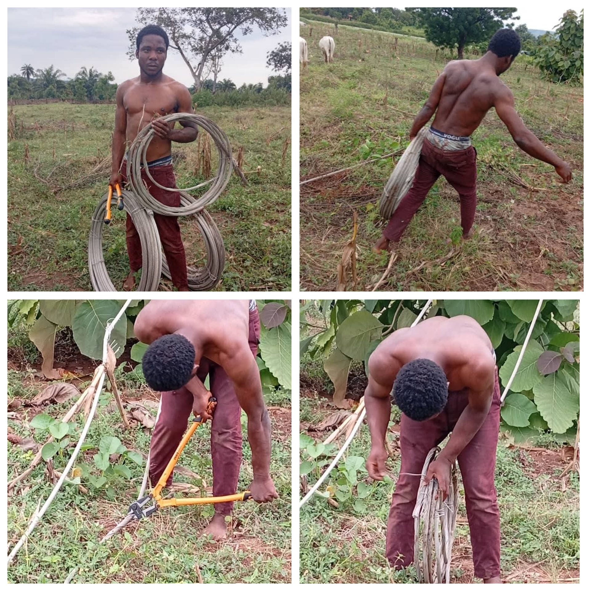 Man arrested for vandalising high-tension cables in FCT