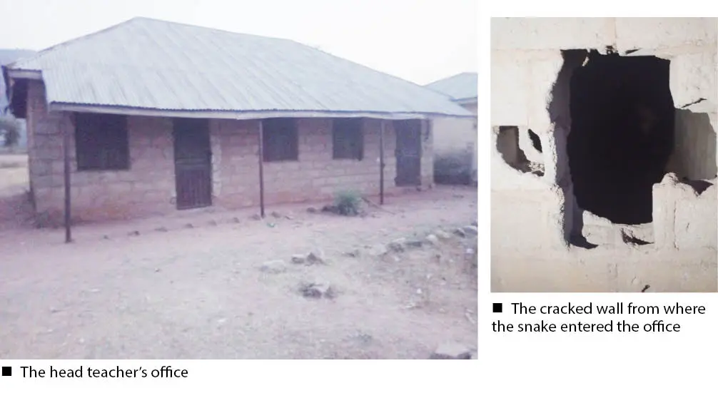 Snake k!lls teacher at dilapidated FCT school