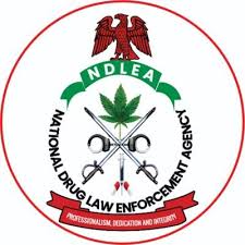 Saudi authorities free 3 Nigerian pilgrims arrested for alleged drug trafficking