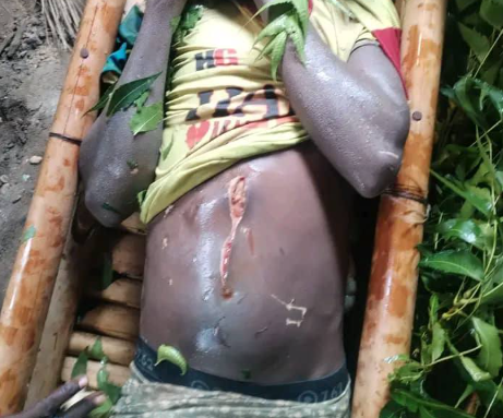 These wild animals have instilled fear among residents - Gombe lawmaker begs FG for protection after hippopotamus attacked canoe and k!lled young man