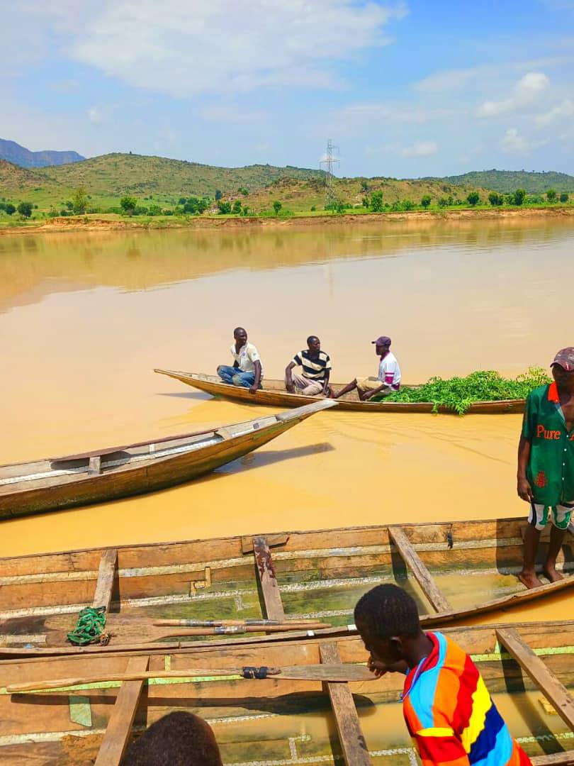 These wild animals have instilled fear among residents - Gombe lawmaker begs FG for protection after hippopotamus attacked canoe and k!lled young man