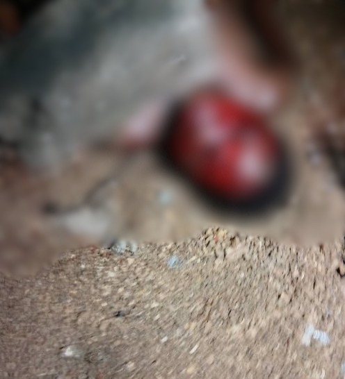 Ghanaian man hacks his girlfriend to d3ath with machete for denying him s3x