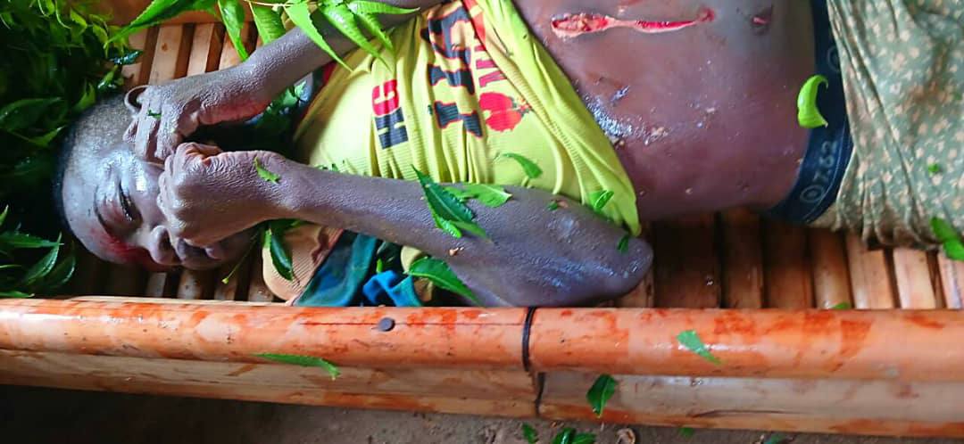 These wild animals have instilled fear among residents - Gombe lawmaker begs FG for protection after hippopotamus attacked canoe and k!lled young man