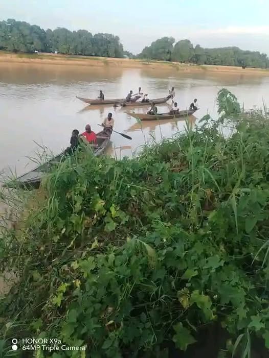 These wild animals have instilled fear among residents - Gombe lawmaker begs FG for protection after hippopotamus attacked canoe and k!lled young man