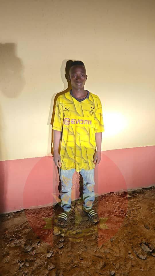 Troops dismantle su!cide bombing network, intercept terrorists' logistics in Adamawa