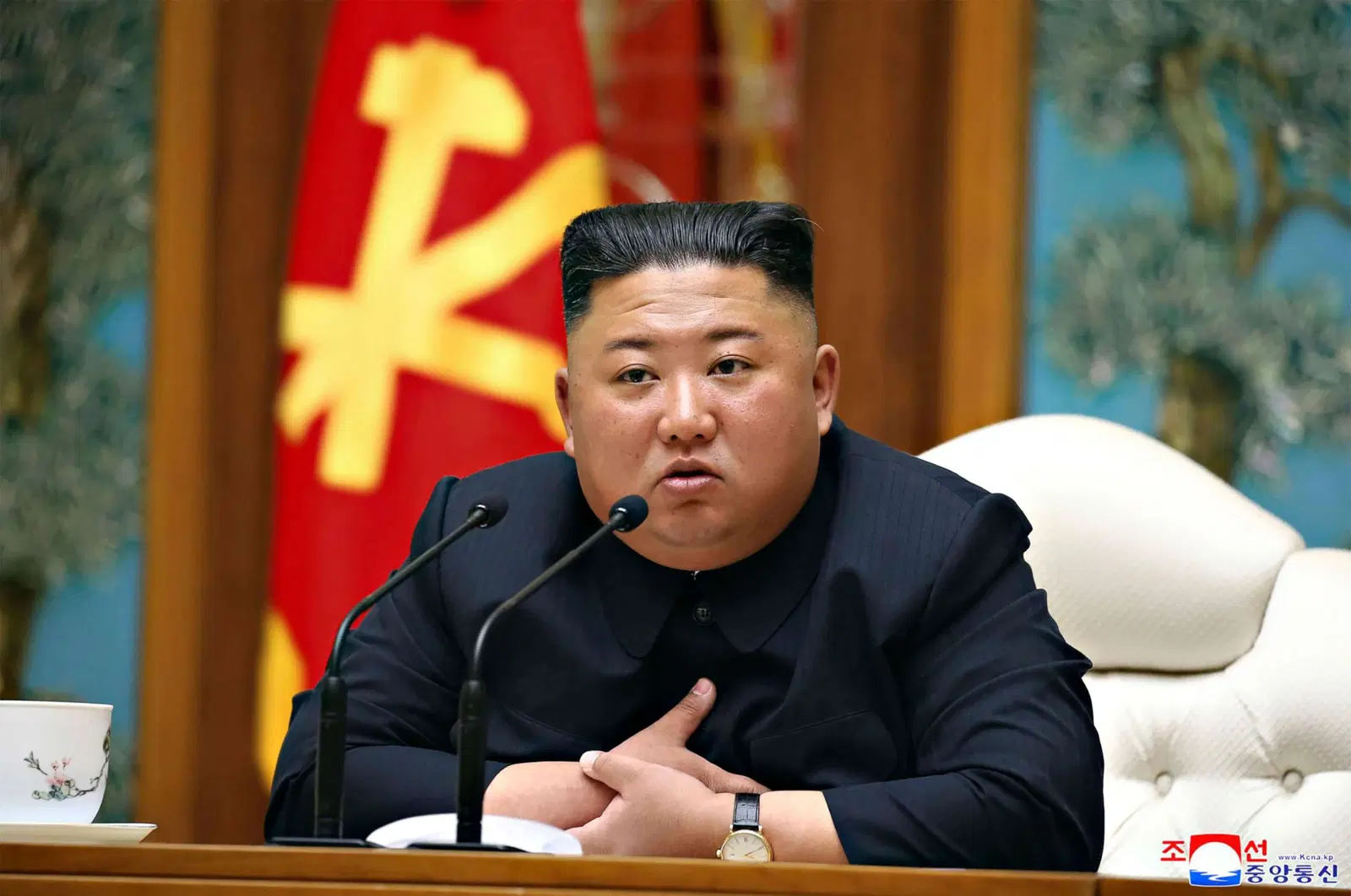 North Koreaâ€™s Kim pledges to â€˜unconditionally supportâ€™ Putin