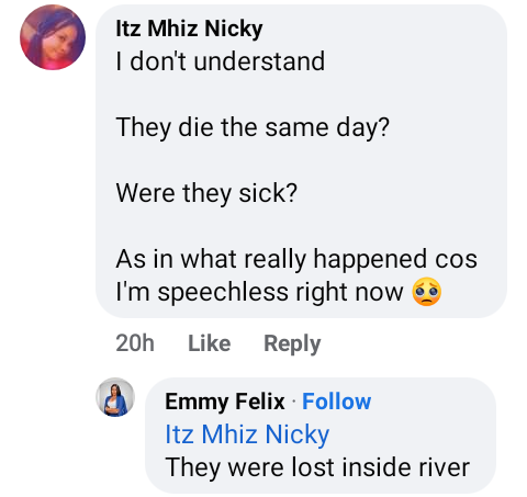 "Some tears will never dry" - Nigerian man mourns his two young brothers who drowned in river