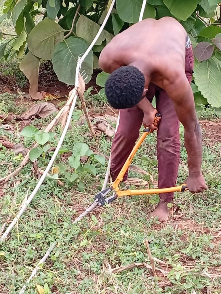 Man arrested for vandalising high-tension cables in FCT