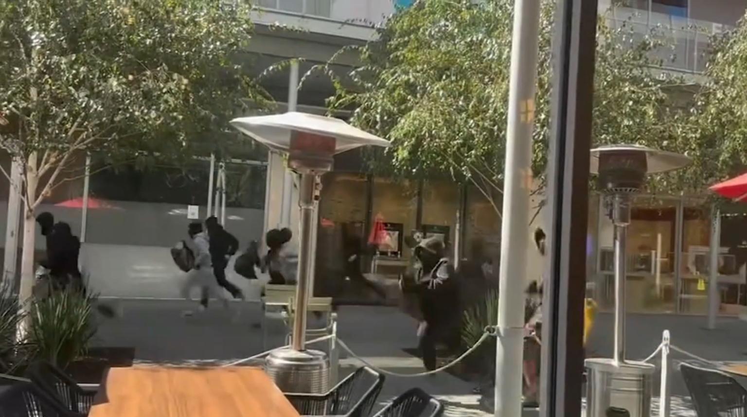 Wild video shows over 25 masked armed robbers storming California jewelry store in $1M raid