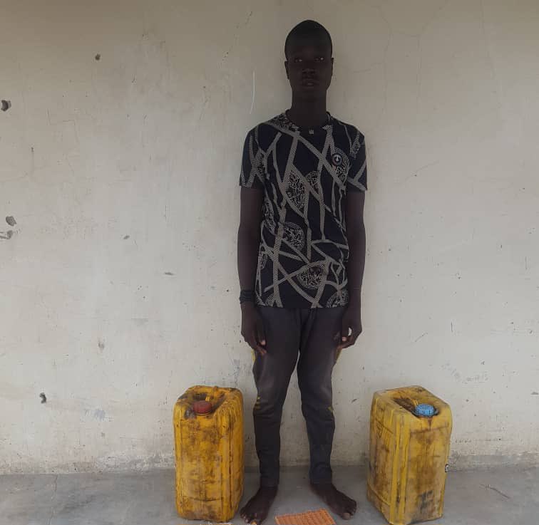 Troops arrest logistics and drug suppliers to terrorists in Borno