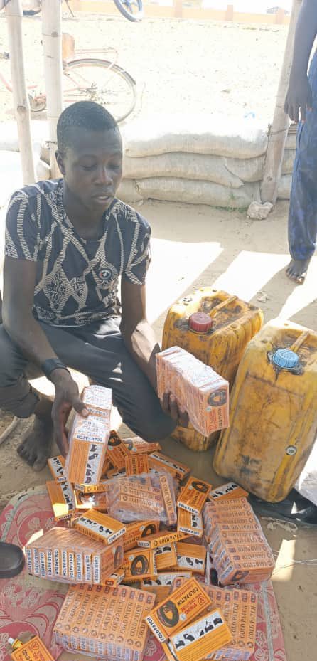Troops arrest logistics and drug suppliers to terrorists in Borno
