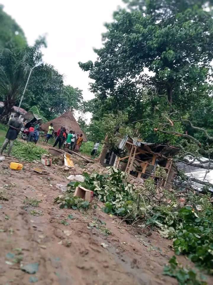Falling tree k!lls one, injures seven in Benue community