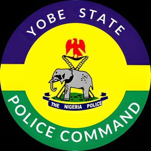 Update: Police arrest fleeing 18-year-old housewife who cut her husbandâs manhood in Yobe